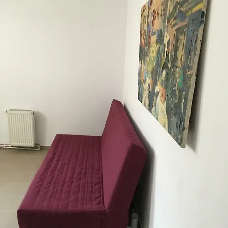 Strada Negru Voda 5 Ap 1 *